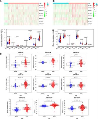 Integrative Transcriptomic, Proteomic and Functional Analysis Reveals ATP1B3 as a Diagnostic and Potential Therapeutic Target in Hepatocellular Carcinoma